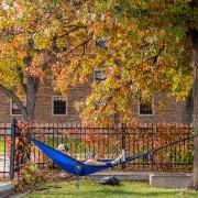 Student in hammock