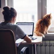 Woman working on laptop in home office with pet cat nearby