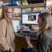 Kristi Anseth, right, and team member discuss research