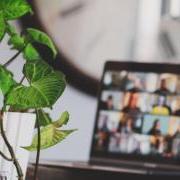 a virtual meeting on a laptop screen with a plant in the foreground